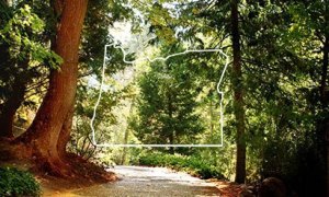 1.oregon.jpg