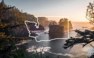 washington_white